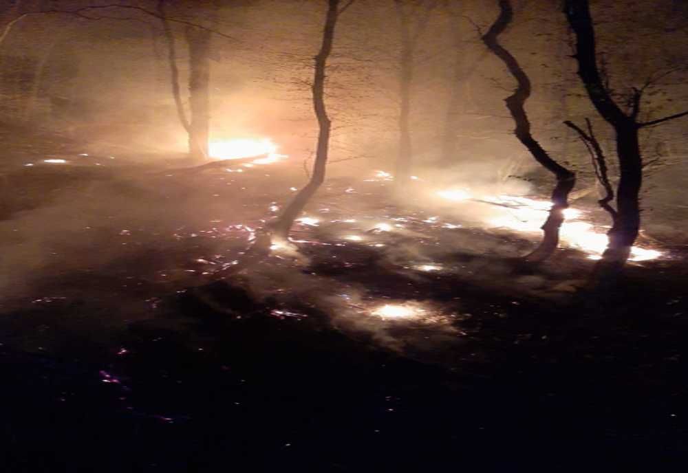 Peste 100 de intervenții ale pompierilor sibieni, weekendul trecut