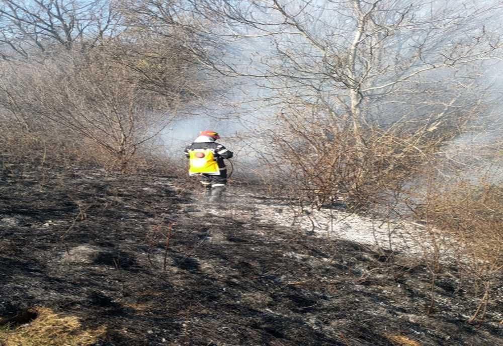 Incendii de vegetație uscată, în Mediaș și Merghindeal