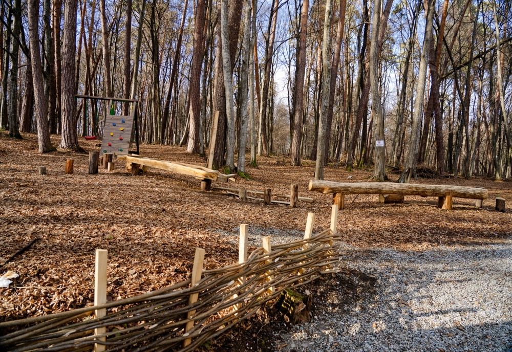 Peste 330 de vizitatori în Muzeul ASTRA, în ziua redeschiderii