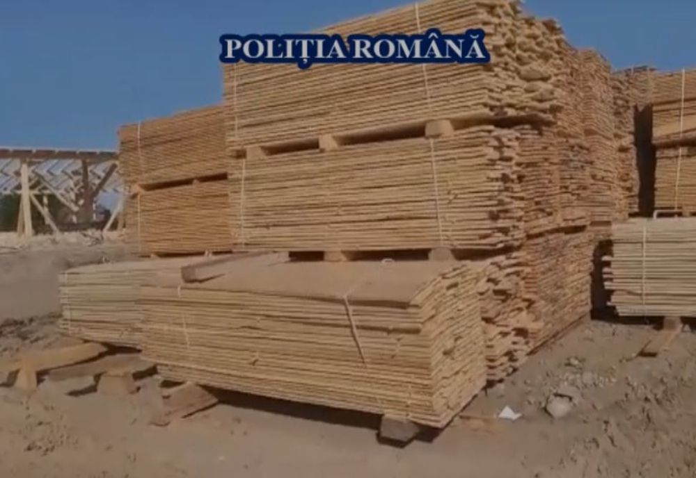 Percheziții în patru județe, printre care și Sibiul, privind tăierea ilegală de lemne