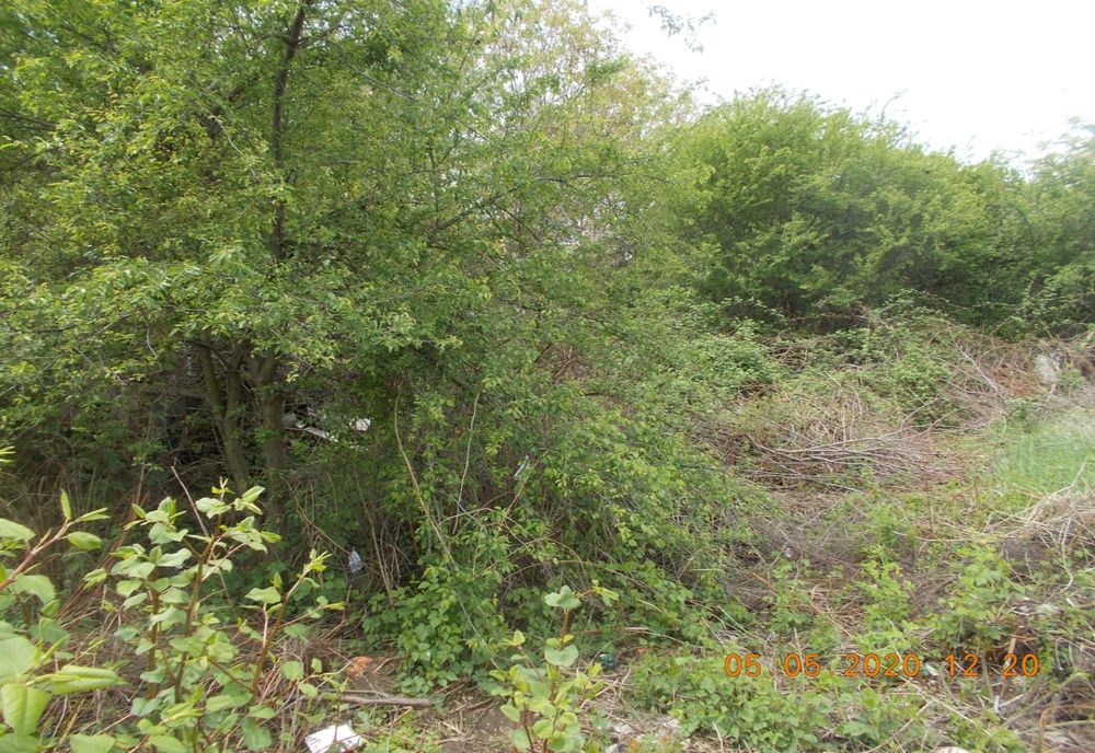 Primăria Sibiu continuă identificarea terenurilor neîngrijite din oraș