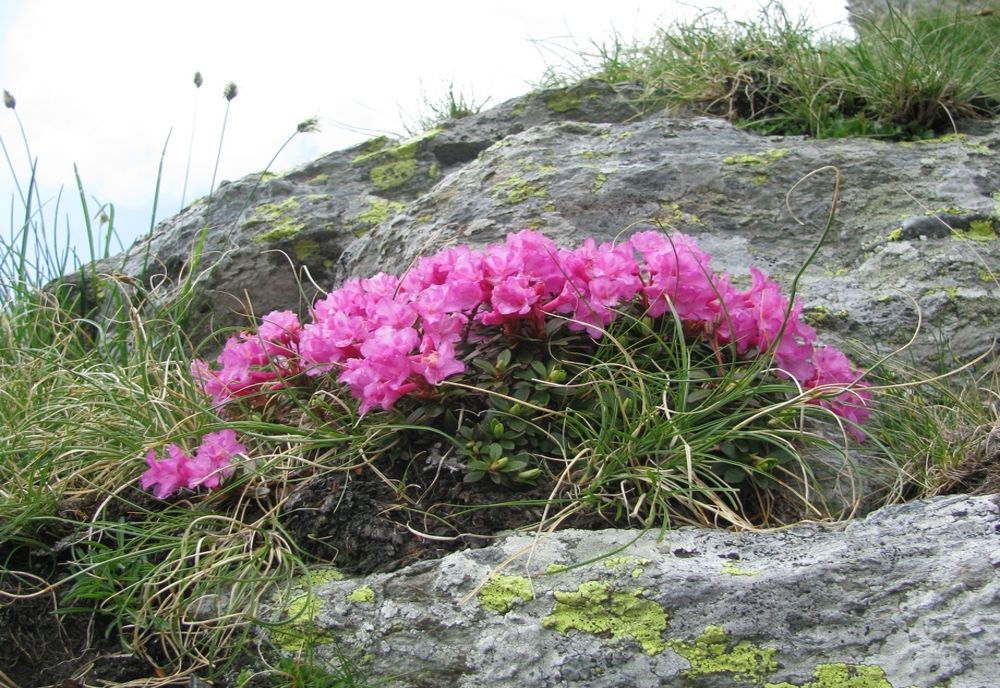 2021, Anul Drumeției în județul Sibiu