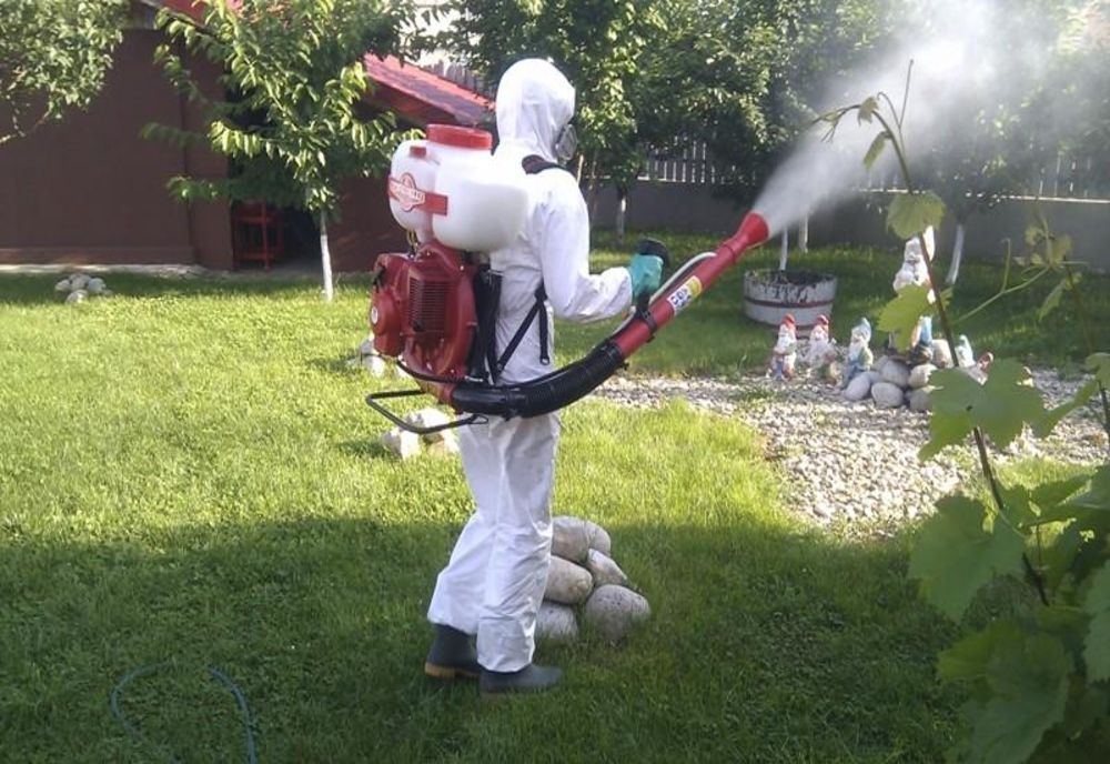 O nouă acțiune de dezinsecție împotriva țânțarilor, la Sibiu