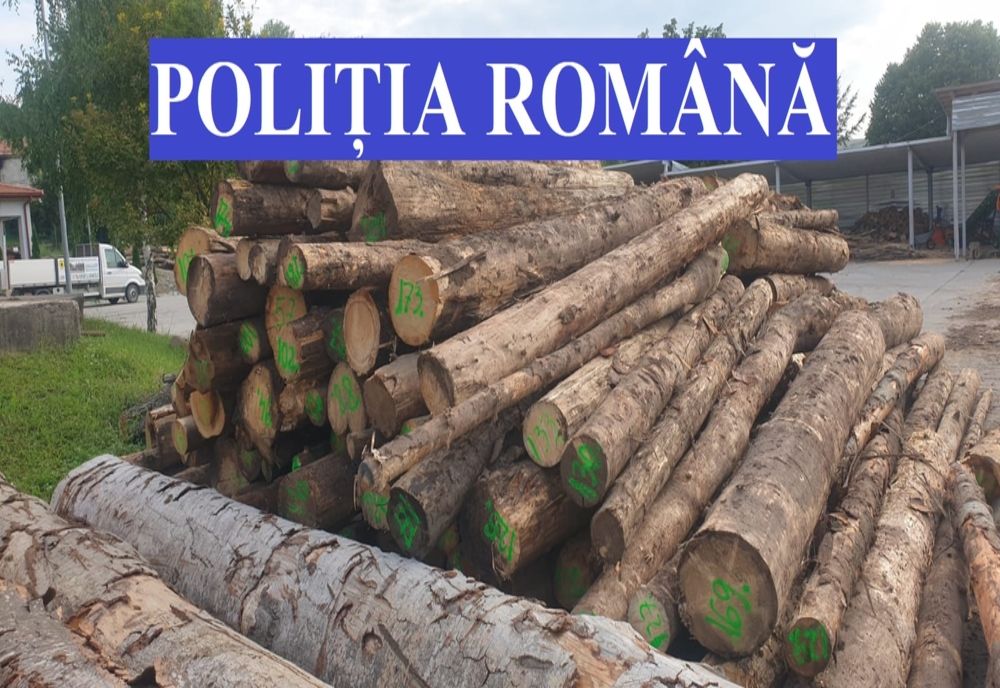 Controale la depozitele de material lemnos din Sibiu