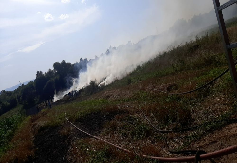 Două tone de plante furajere distruse de flăcări