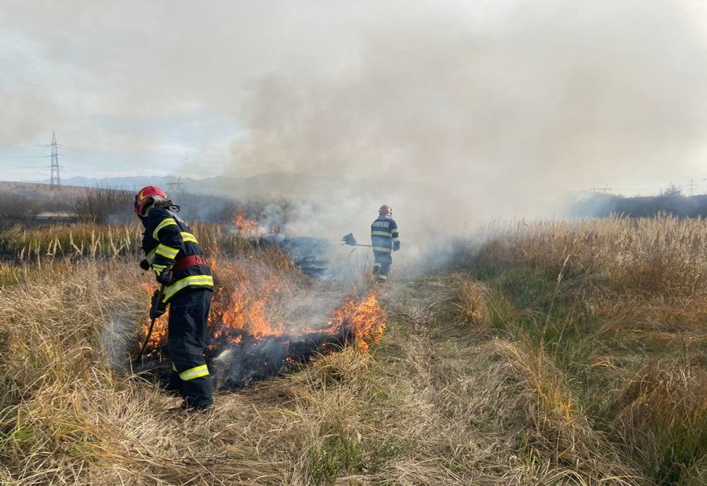 Incendiu de vegetație în localitatea Mohu