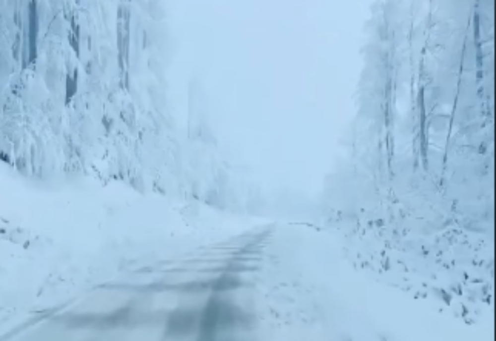 Schimbări radicale ale vremii: ce urmează după valul de ger siberian