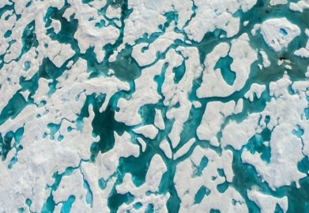 Dacă vezi ursul pe aceste calote glaciare, ai IQ-ul cu mult peste medie