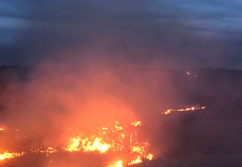 Incendiu de vegetație uscată în zona de câmp a localității Ludoș