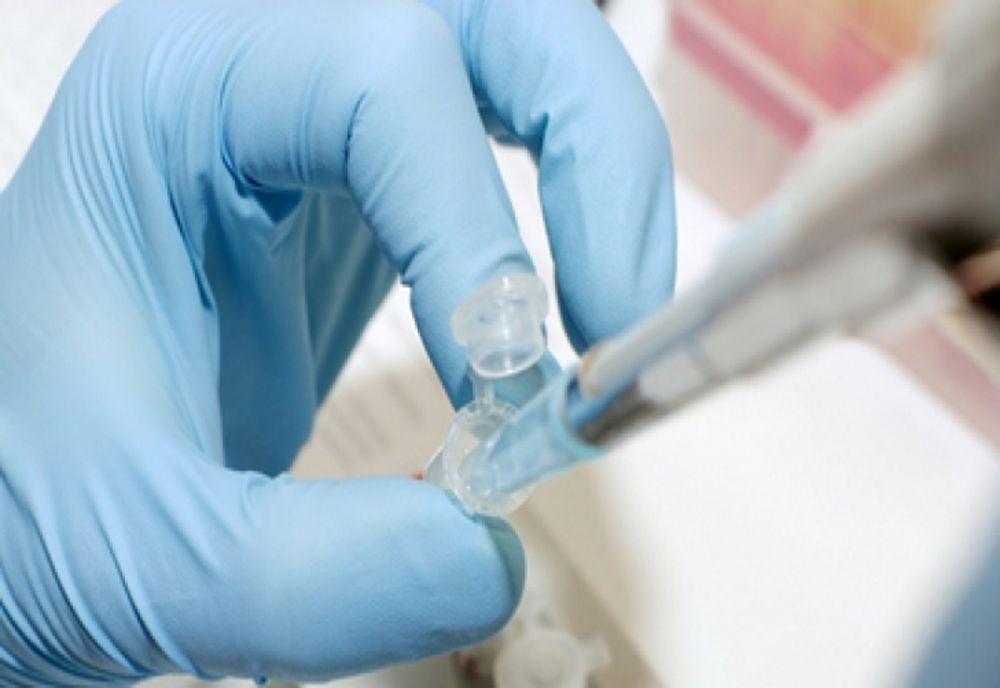 Zeci de persoane s-au infectat cu un nou virus apărut în China și transmis de la animale. Virusul poate afecta ficatul și rinichii