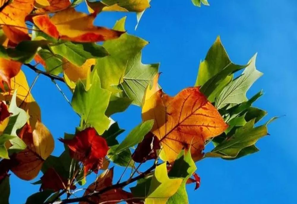 Prognoza meteo, 27 octombrie. Vreme caldă și frumoasă în toată țara. În ce zone vor fi cele mai ridicate temperaturi