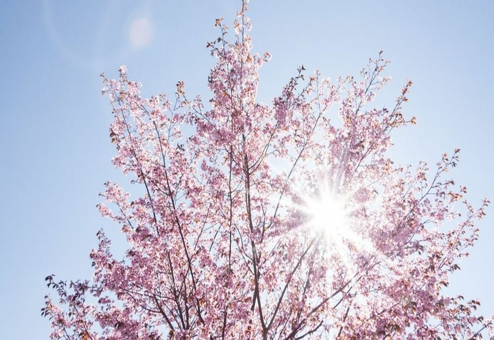 Meteorologii vin cu vești bune pentru mini-vacanța de 1 mai! ANM: Vremea va fi frumoasă