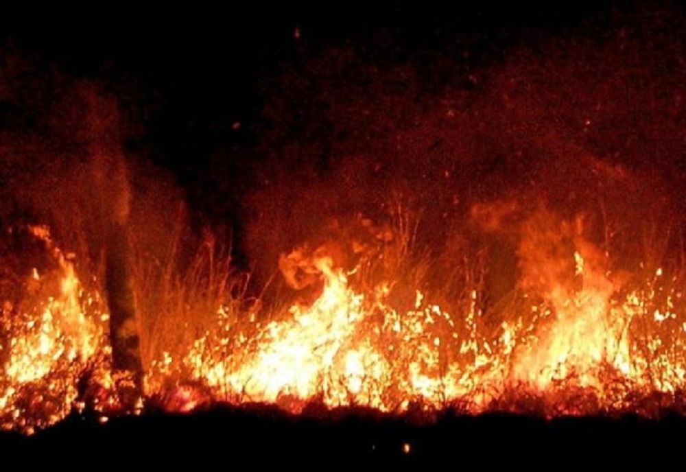 PESTE 400 DE ANGAJAȚI AI ROMSILVA, IMPLICAȚI ÎN ACȚIUNILE DE STINGERE A INCENDIILOR DE PĂDURE