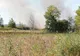 Incendiu la vegetaţie uscată. Intervin pompierii