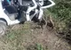 Doi sibieni au ajuns la spital în urma unui accident de mașină