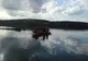 UPDATE: Foto/Video Bărbatul căutat în apele Oltului a fost găsit înecat
