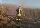 UPDATE | Incendiu la un lan de porumb între Şura Mică şi Ocna Sibiului