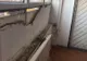 VIDEO | Adăpostul unui cioban situat pe câmp a luat foc