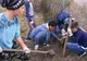 11 stejari plantați de copiii din Ruși, de Centenar