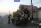 Dosar penal pentru un bărbat care transporta ilegal lemne cu o mașină neînmatriculată