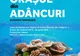 Peste 100 de locuitori ai mărilor în expoziția „Orașul din adâncuri”