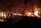 Cinci hectare au ars într-un incendiu de vegetație