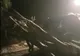Video/ Copaci căzuți pe DN7C, la Bâlea