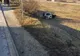 VIDEO | Accident pe DN14, la Târnava. Femeie de 36 de ani, rănită