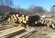 VIDEO | Un șofer s-a izbit de un cap de pod, lângă Nocrich