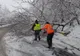 Copac căzut îngreunează traficul pe DN14 A