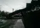 În Sibiu cad copaci și crengi pe carosabil