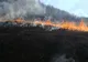 5 ha de litieră de pădure de pin au fost distruse de un incendiu la Roșia
