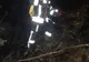 Trei ore de intervenție pentru lichidarea unui incendiu de vegetație la Râu Sadului