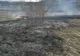 UPDATE: Incendiu de vegetație uscată și pădure de pin în Roșia