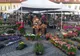 Piața Mare înflorește. Festivalul Grădinilor revine în centrul Sibiului