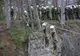 Studenți ai AFT Sibiu, la Săptămâna internaţională organizată de Academia Militară Regală din Bruxelles