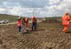 Angajații de la Secția Autostrăzi Sibiu au curățat zona Agnita de pe A1
