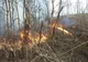 Șapte hectare de vegetație uscată au ars într-un incendiu
