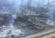Patru hectare de litieră de pădure au ars în Valea Viilor