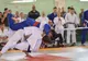 Judocanii AFT Sibiu au urcat și anul acesta pe prima treaptă a podiumului