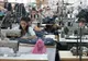 Compania care produce pentru Lacoste, în Cisnădie, cumpărată de chinezi