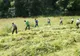 S-a modificat legea privind exercitarea activităților desfășurate de zilieri. Precizările ITM Sibiu
