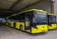 Încă zece autobuze noi intră în flota Tursib