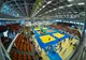Aproximativ 500 de judocani din țară și străinătate se întrec la Sibiu