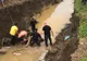 Un cal căzut într-un canal, în Apoldu de Sus, salvat de pompieri