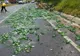 VIDEO | UPDATE - Trafic reluat pe DN14