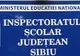 Elevii din Sibiu s-au jucat "De-a franceza"