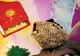 Povestea unor animăluțe din vârf de munte, în premieră, la Teatrul "Gong"