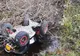 Un bărbat a ajuns la Urgențe, după ce s-a răsturnat cu ATV-ul