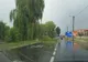 Copaci căzuți pe strada Malului. Intervin pompierii